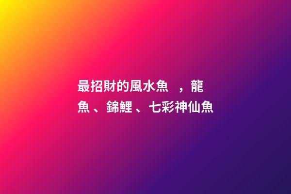 最招財的風水魚，龍魚、錦鯉、七彩神仙魚